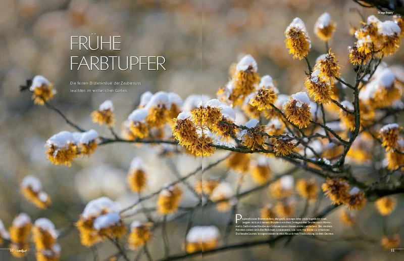 Landlust Heft 1/2022