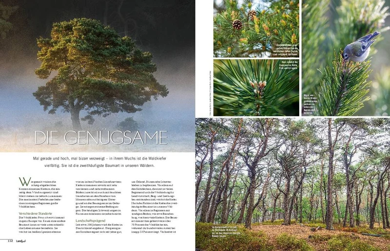 Landlust Heft 1/2022