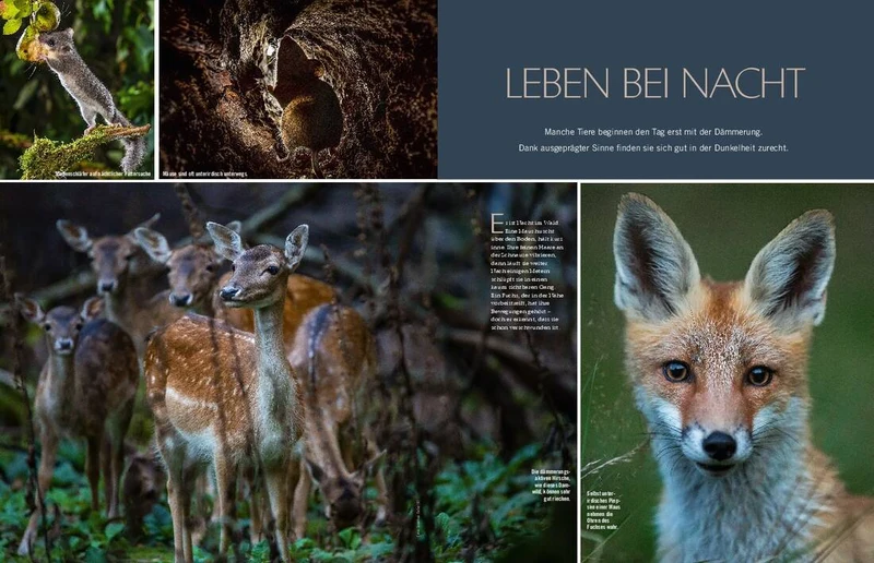 Landlust Heft 6/2021