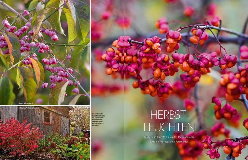 Landlust Heft 5/2021
