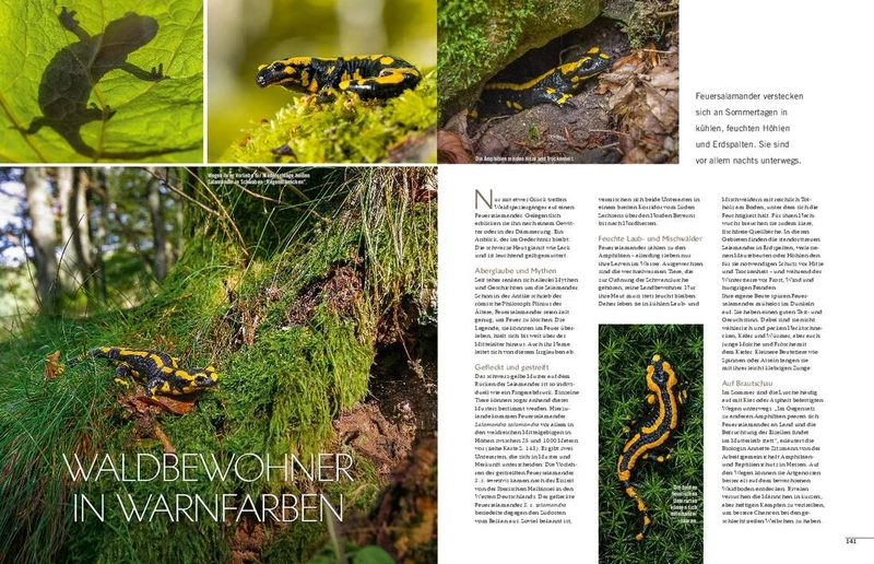 Landlust Heft 4/2021