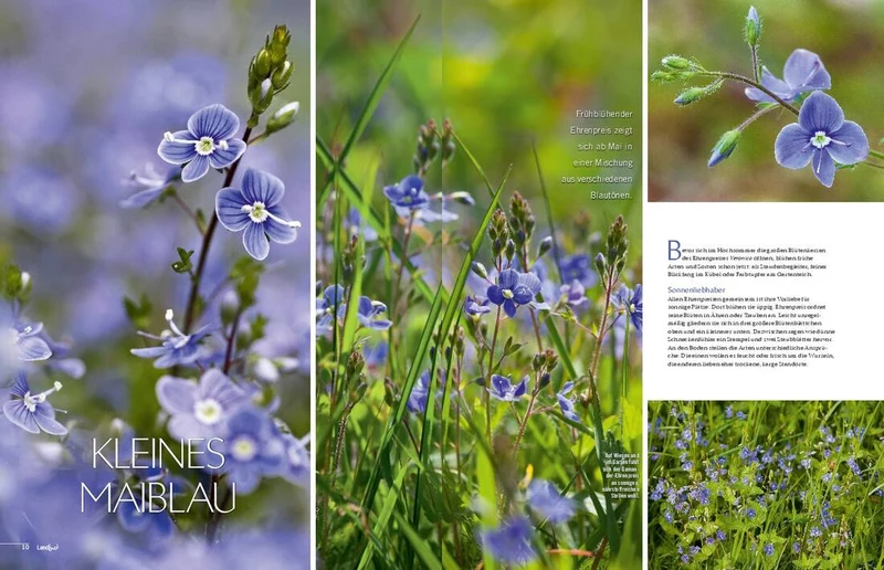 Landlust Heft 3/2021