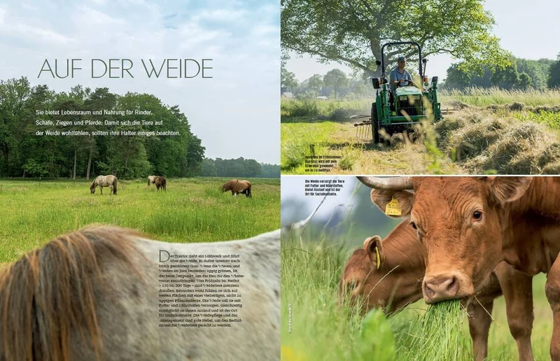 Landlust Heft 3/2023