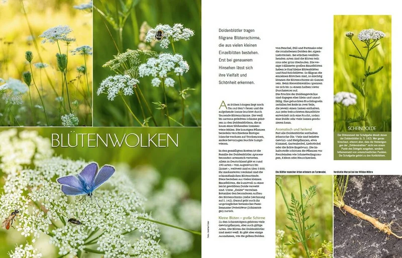 Landlust Heft 3/2023