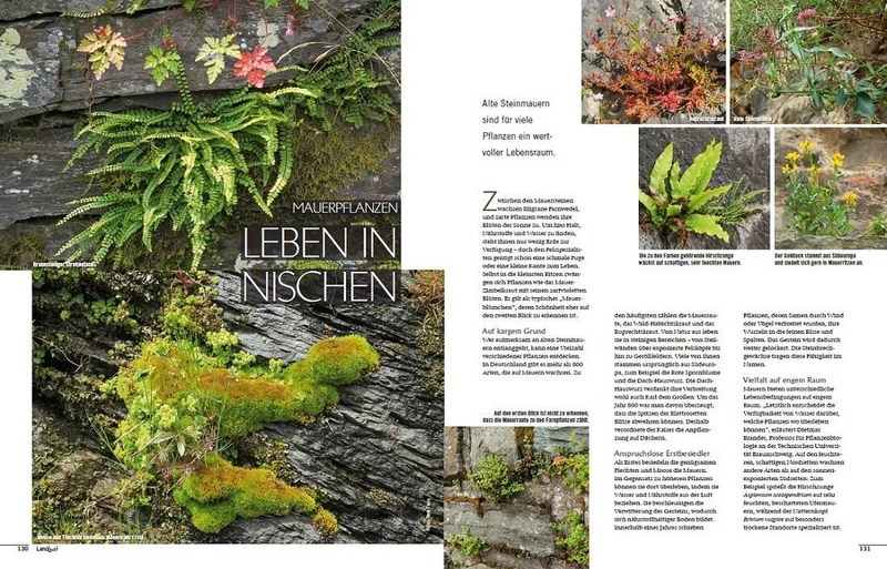 Landlust Heft 5/2022
