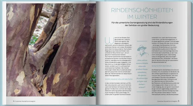 Zwischen Raureif und Immergrün