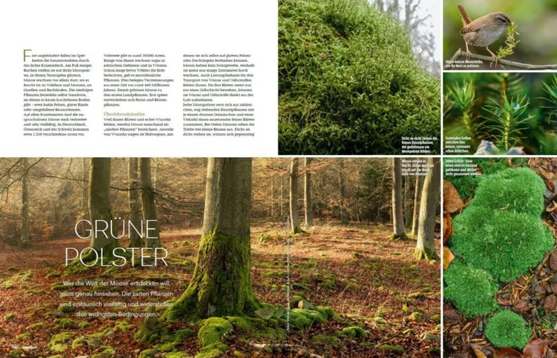 Landlust Heft 6/2024