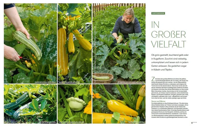 Landlust Heft 4/2024