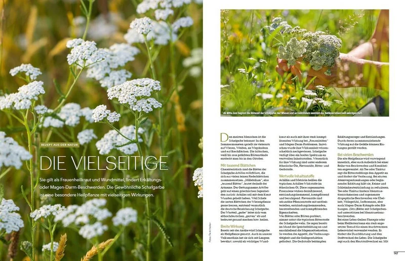 Landlust Heft 4/2024