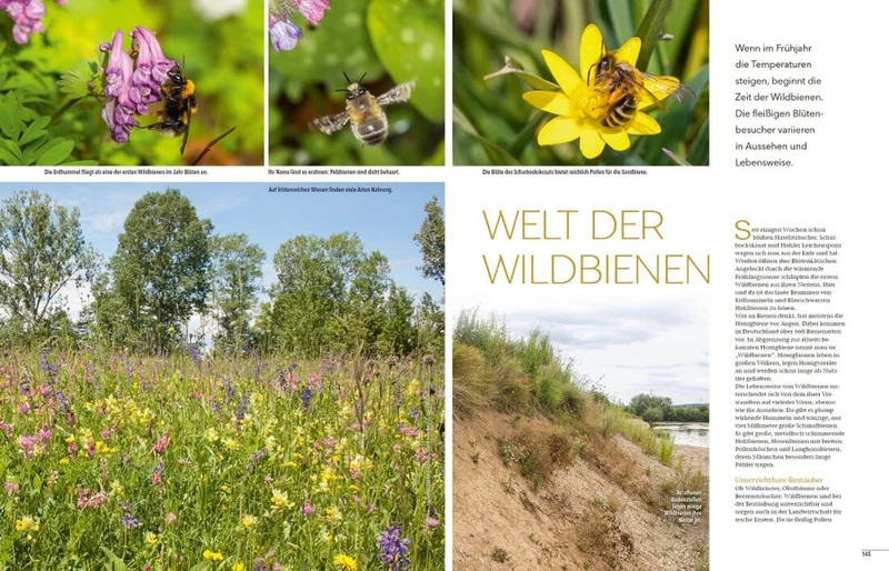 Landlust Heft 2/2024