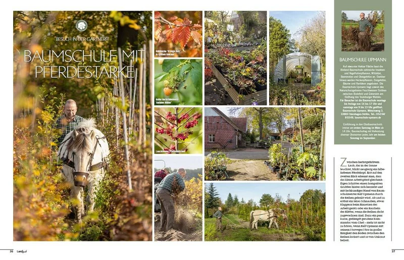 Landlust Heft 6/2023