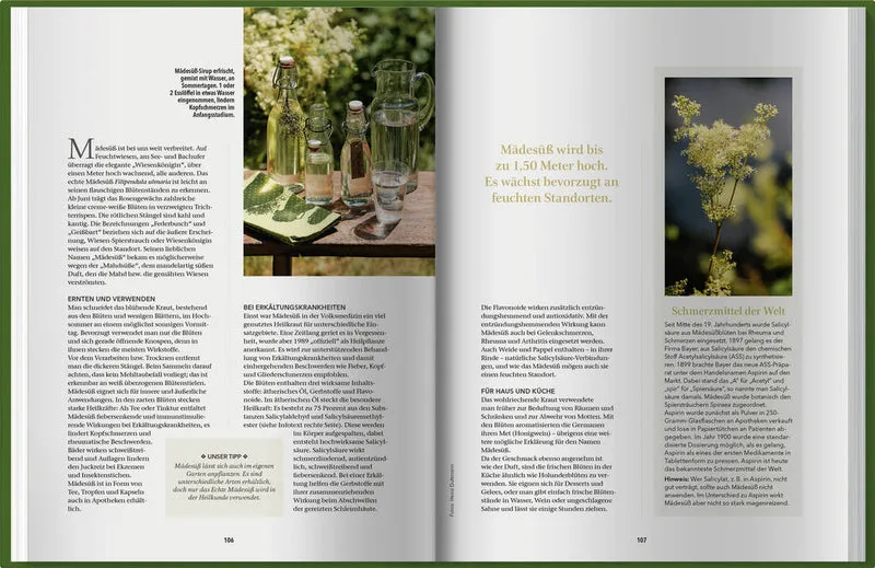Landlust Naturapotheke 2