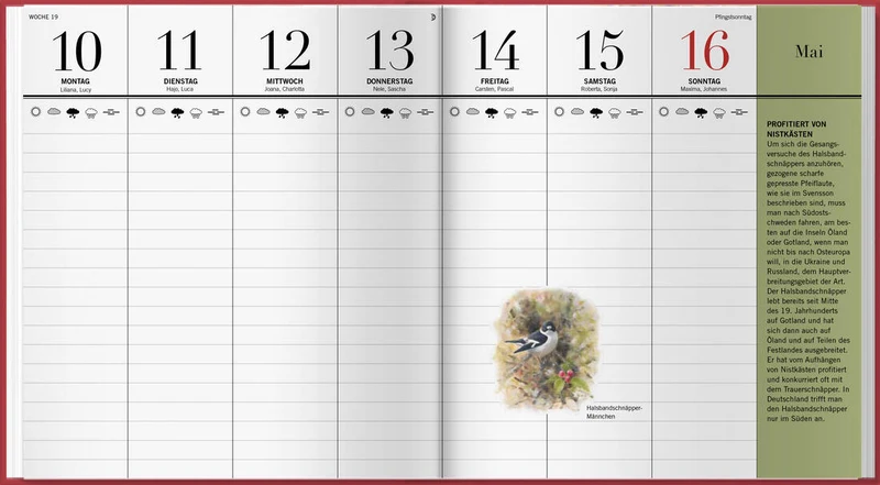 Der illustrierte Vogelkalender 2027