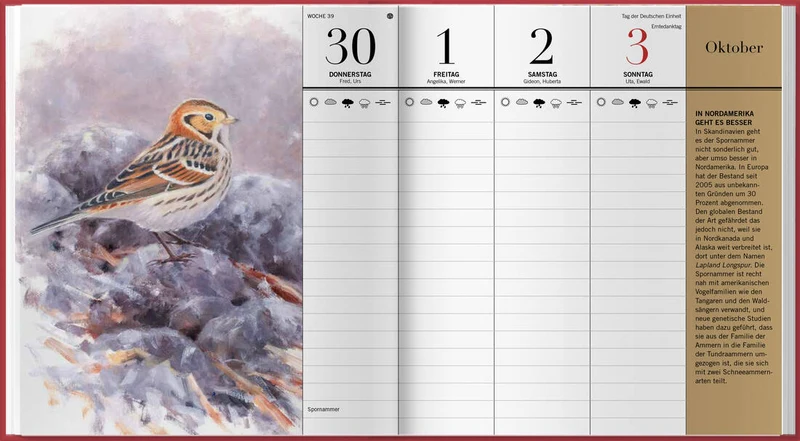 Der illustrierte Vogelkalender 2027