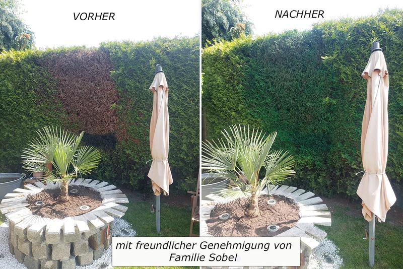 Rilit Green Grass Water