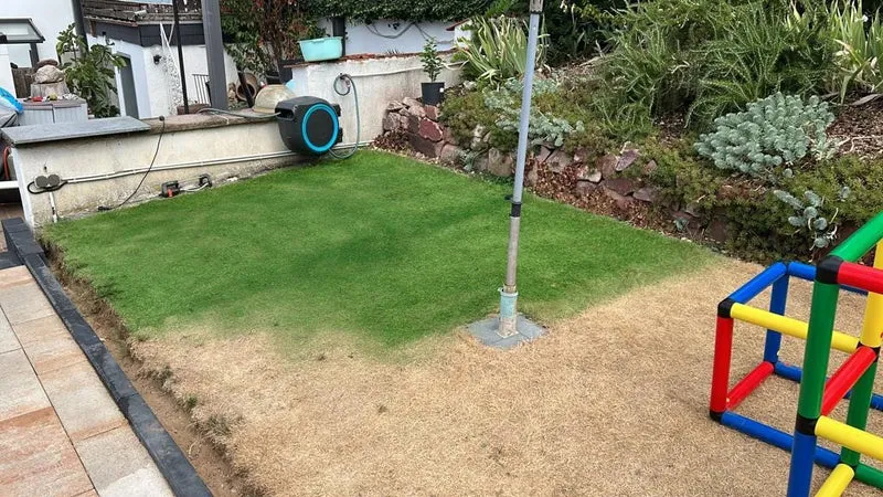 Rilit Green Grass Water