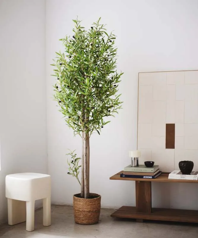B-Ware Maia Shop Künstlicher Olivenbaum Kunstpflanze Baum 180 cm Naturholzstamm Oliven