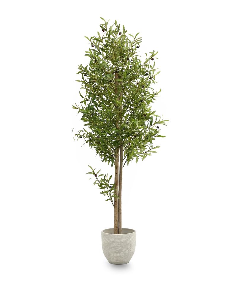 B-Ware Maia Shop Künstlicher Olivenbaum Kunstpflanze Baum 180 cm Naturholzstamm Oliven