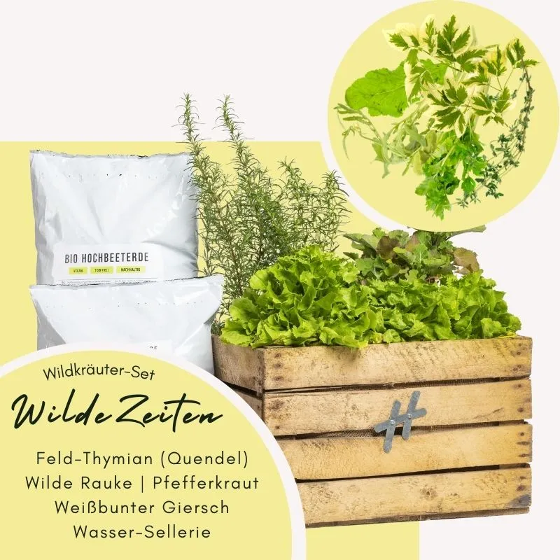 Kräuterkiste Wilde Zeiten