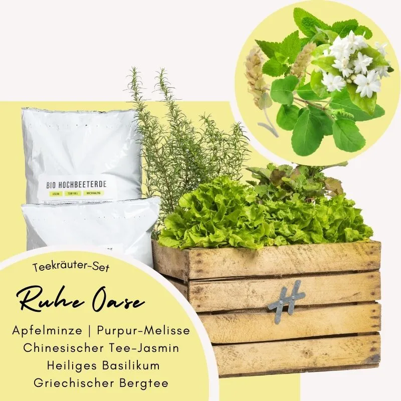 Kräuterkiste Ruhe-Oase