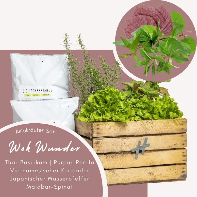 Kräuterkiste Wok-Wunder