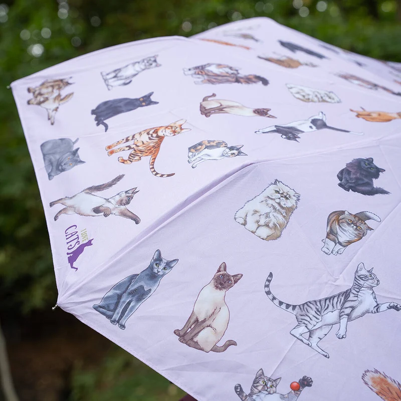 Taschenschirm mit Katzenmotiv