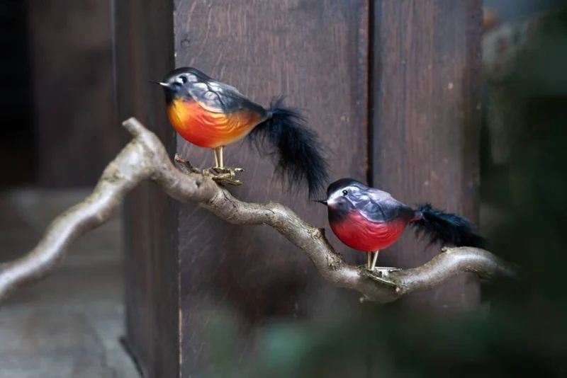 Vogelpaar Dompfaff
