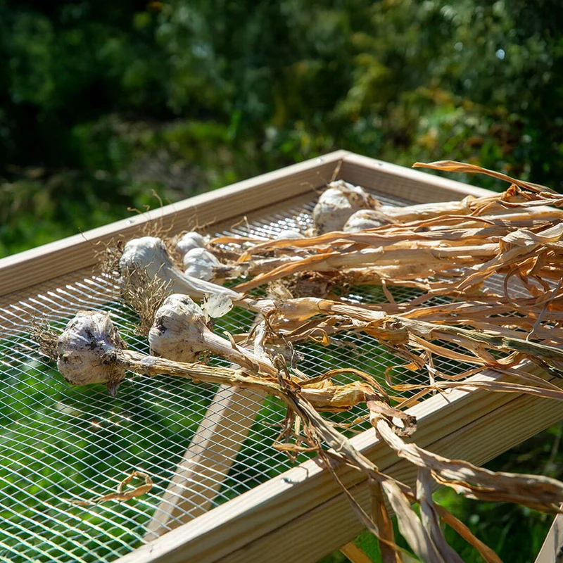 Erntetisch aus Kiefernholz, mit Waschfunktion