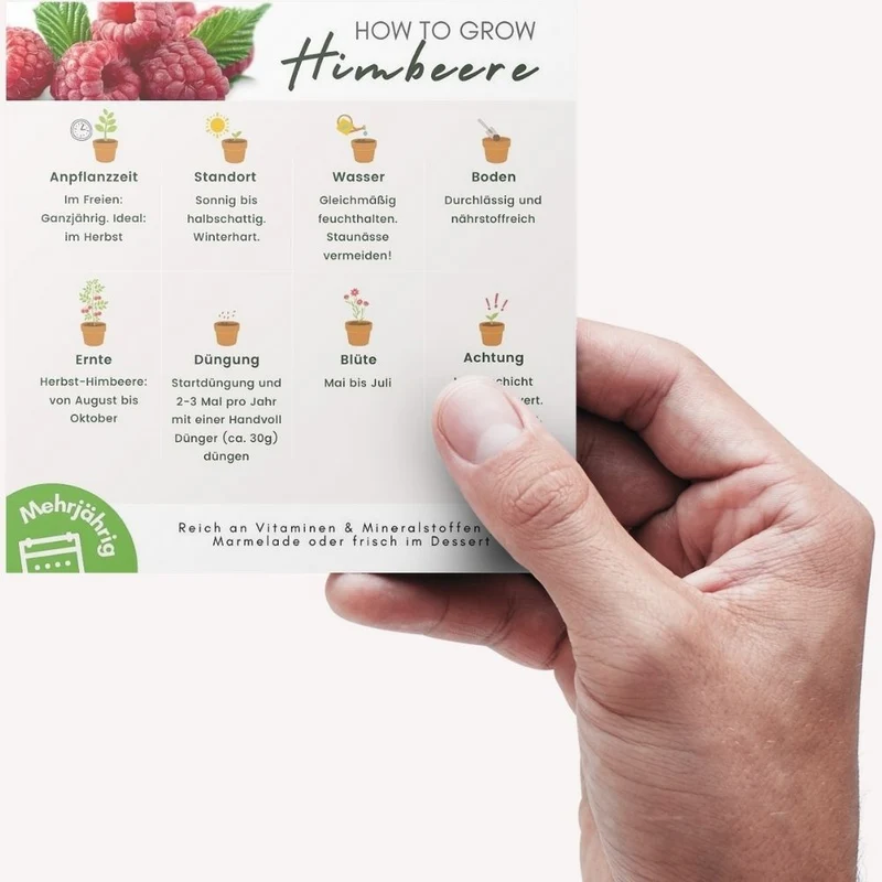 Himbeere