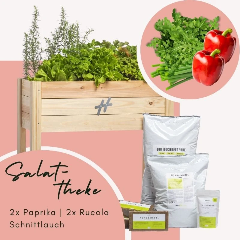 Balkongarten Boho