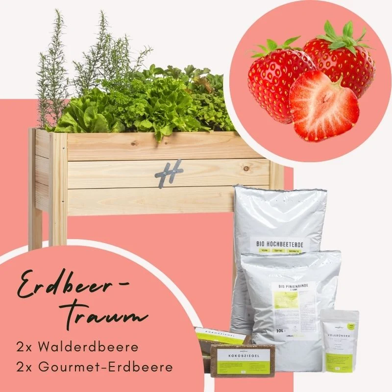 Balkongarten Boho