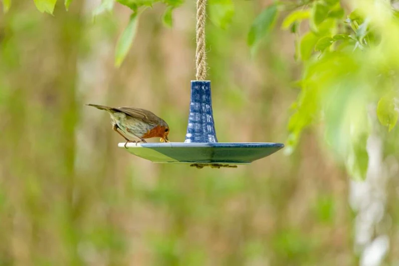 Vogel- und Insektentränke