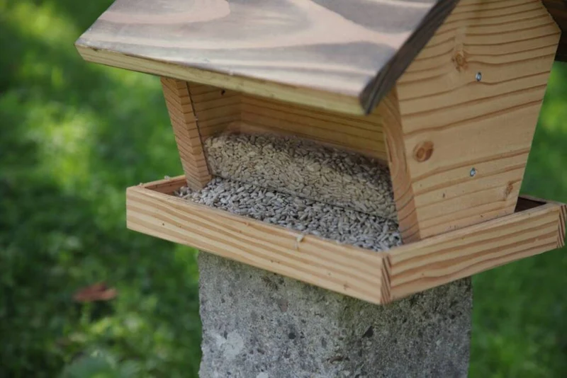 Vogelhaus mit Futterdepot