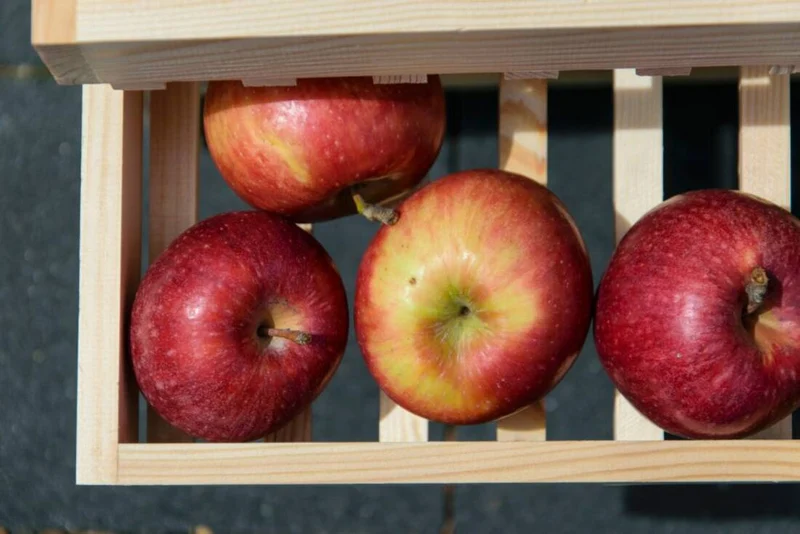 Vorratsregal für Obst und Gemüse