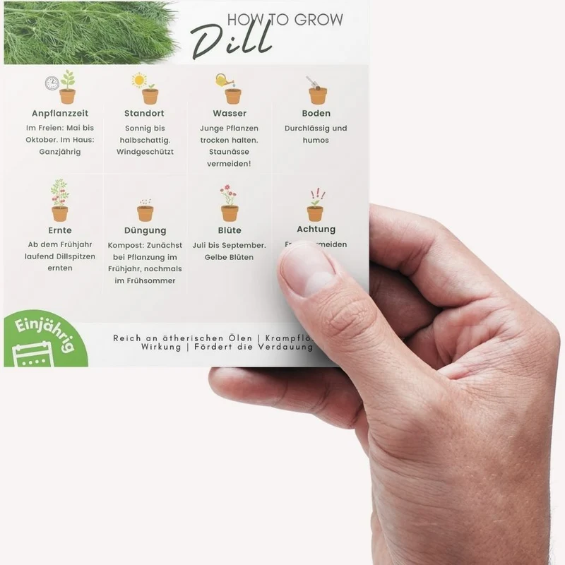 Dill