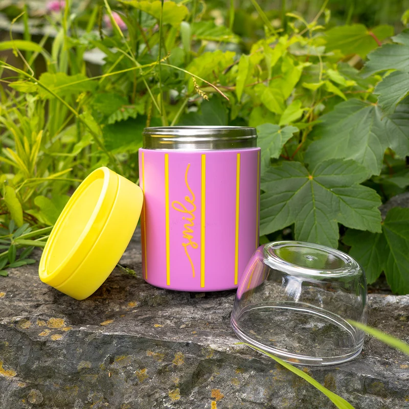 Lunchpot Streifen aus Edelstahl, isoliert