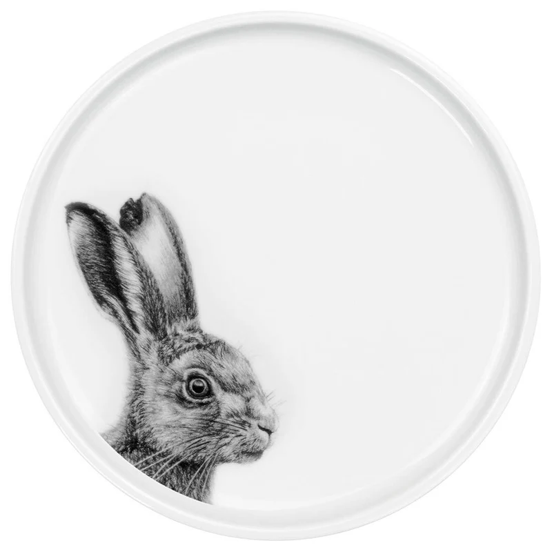 Teller Hase