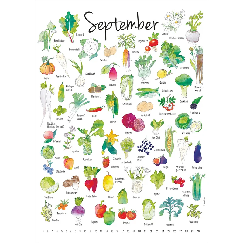 Der Saisonkalender