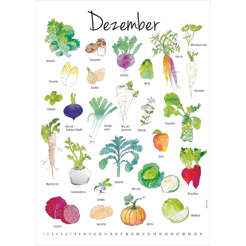 Der Saisonkalender