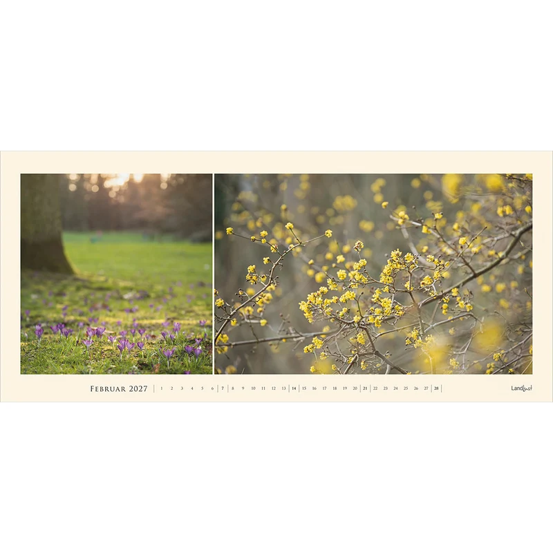 Garten-Kontraste 2027