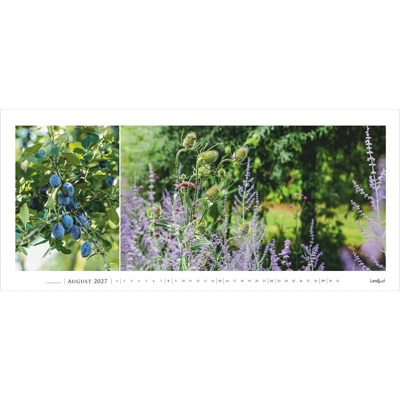 Garten-Kontraste 2027