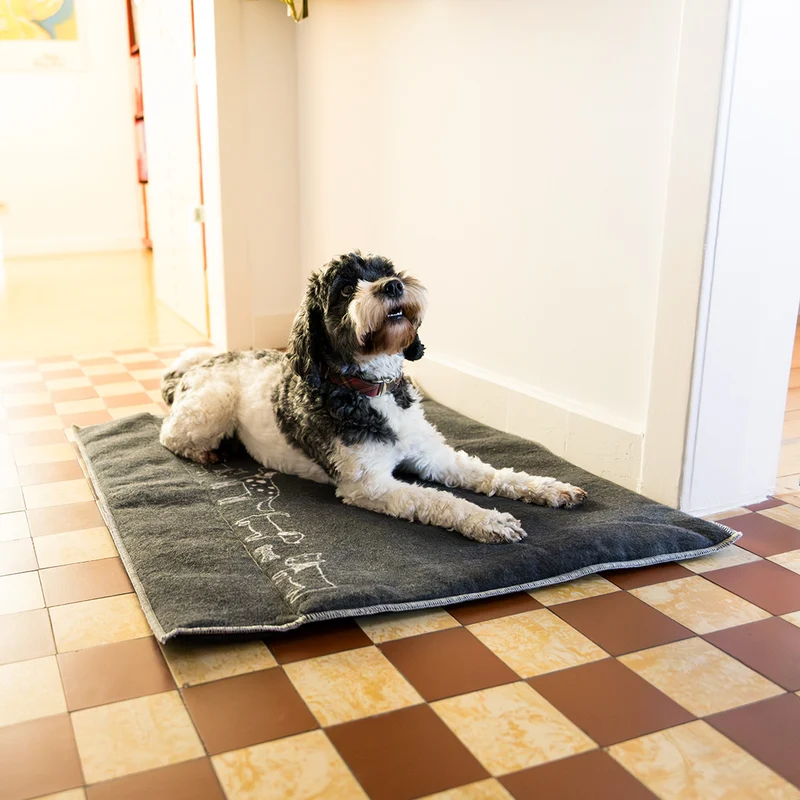Haustiermatte wattiert Hunde