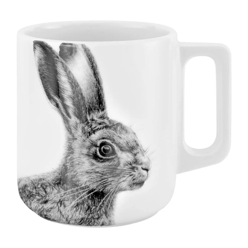 Becher Hase