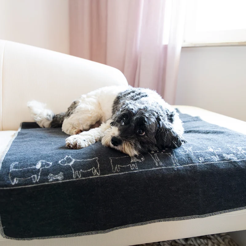 Körbchendecke Hunde