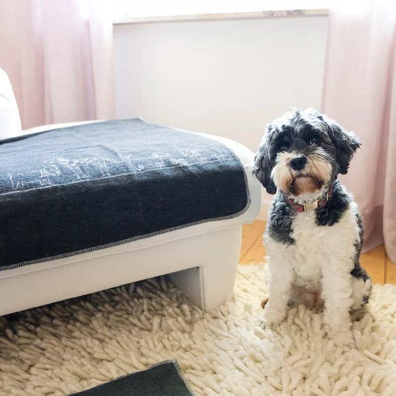 Körbchendecke Hunde