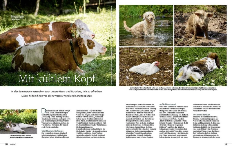 Landlust Heft 4/2026