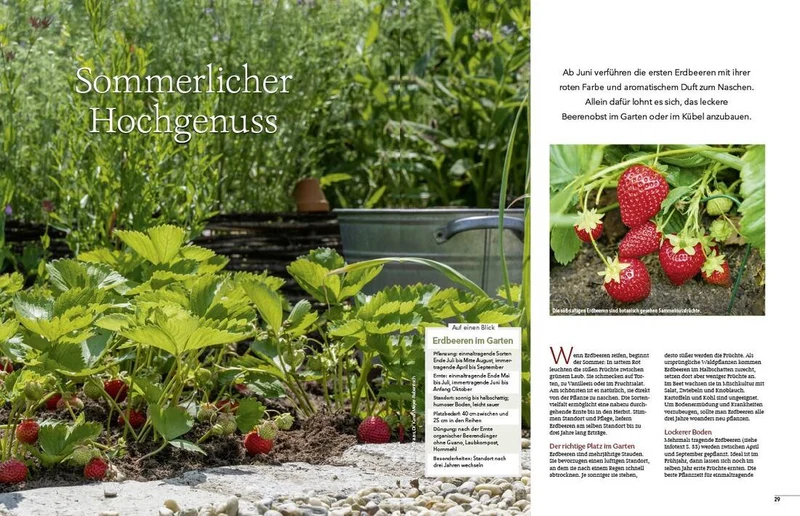 Landlust Heft 3/2026