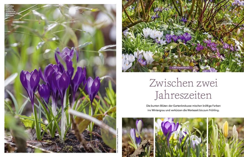 Landlust Heft 1/2026