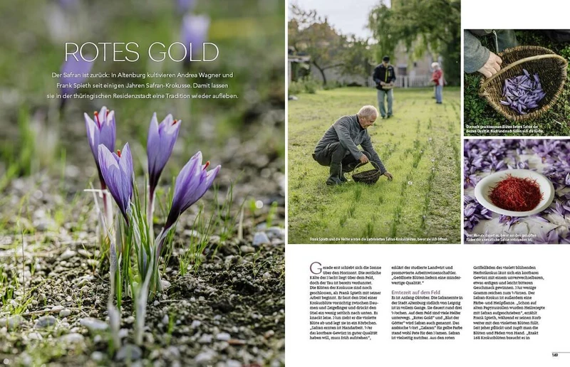 Landlust Heft 6/2025