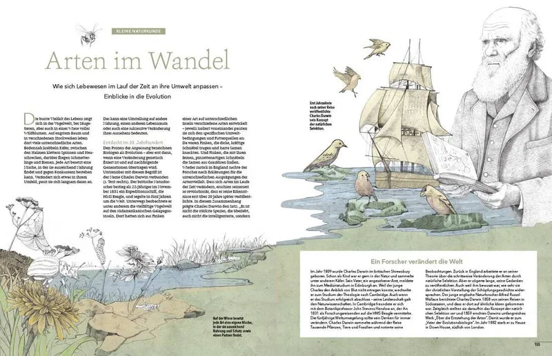 Landlust Heft 6/2025